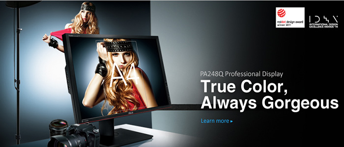 KSN stock the PA248Q professional series display monitors.