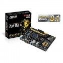 ASUS AM1M-A (Socket AM1/SoC/DDR3/S-ATA 600/Micro ATX)